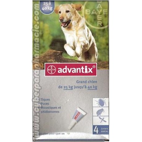 ADVANTIX Grand chien 25-40 kg 4 pipettes