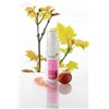 ARGILETZ CRÈME HYDRATANTE VISAGE BIO, Crème de jour hydratante. - fl 30 ml