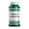 PHYTOMANCE TRIBULUS TERRESTRIS 90 gélules Therascience