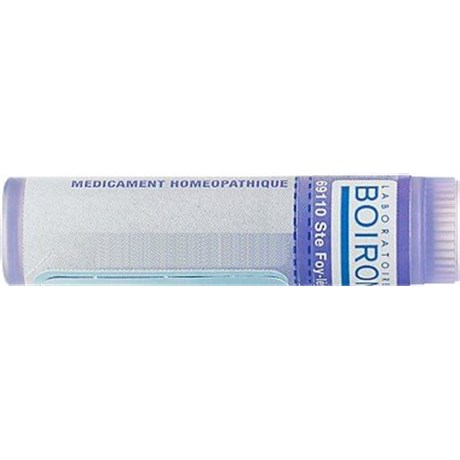 DERMATOPH.PTERON 30CH Tube Granules 