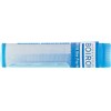 DERMATOPH.PTERON 9CH Tube Granules 