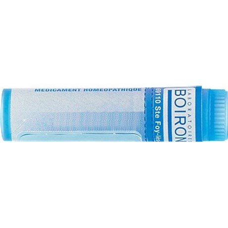 DERMATOPH.PTERON 9CH Tube Granules 