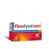 Flexofytol FORTE 28 comprimés