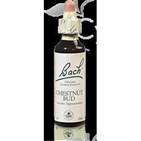 Fleurs de Bach CHESTNUT BUD 20 ml