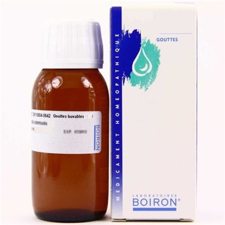 GINSENG 4DH Goutte 125ml