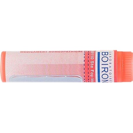 PHENOBARBITALUM 7CH Tube Granules 