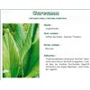CURCUMA IPHYM, Rhizome de curcuma, vrac. coupé - sac 250 g