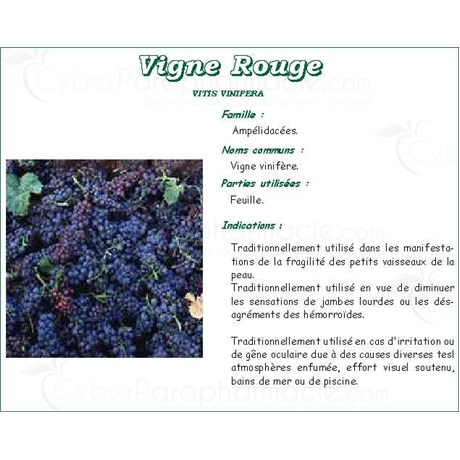 VIGNE ROUGE IPHYM, Feuille de vigne rouge, vrac. - sac 250 g