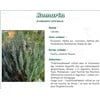 ROSEMARY LEAF GOOD PRODUCERS, rosemary leaf, bulk. - Bt 75 g # 3