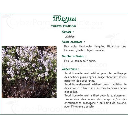 THYME VITAFLOR PROVENCE, Provence thyme leaf, loose tea bags. - Bt 20