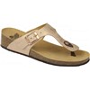 GANDIA Bronze