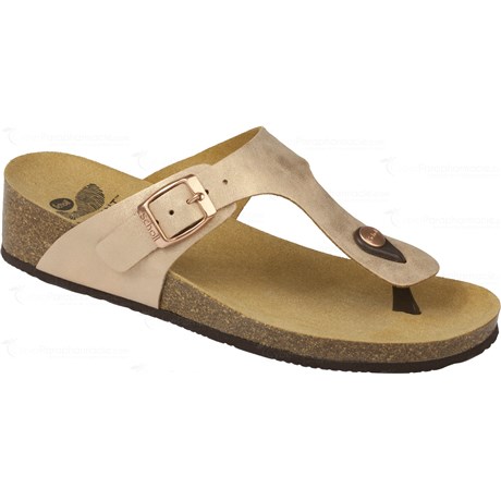 GANDIA Bronze