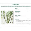 BUCHU PHARMA PLANT, buchu leaf, bulk. whole - Bag 250 g