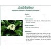 HAWTHORN TEA Mediflor luminary, Flowering top hawthorn bulk. - Bt 50 g # 3