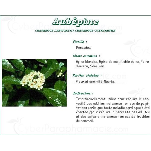 HAWTHORN TEA Mediflor luminary, Flowering top hawthorn bulk. - Bt 75 g # 4