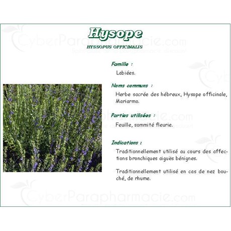 HYSOPE VITAFLOR, Flowering tops of hyssop bulk. - Bt 30 g