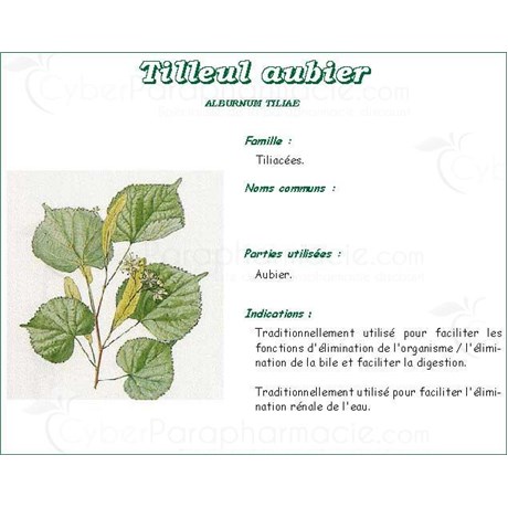 LINDEN AUBIER WHITE PHARMA PLANT white sapwood of lime bulk. chopped - 250 g bag