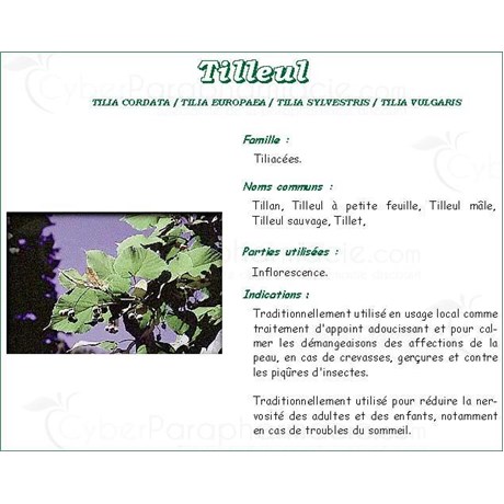 LINDEN PHIBIO infusette, Linden, infusette. - Bt 20