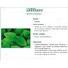MELISSA PHARMA PLANT LEAF Leaf balm, bulk. cut - 250 g bag