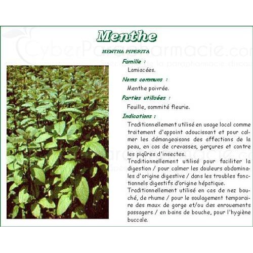 PEPPERMINT VITAFLOR, Peppermint Leaf, bulk. - Bt 25 g