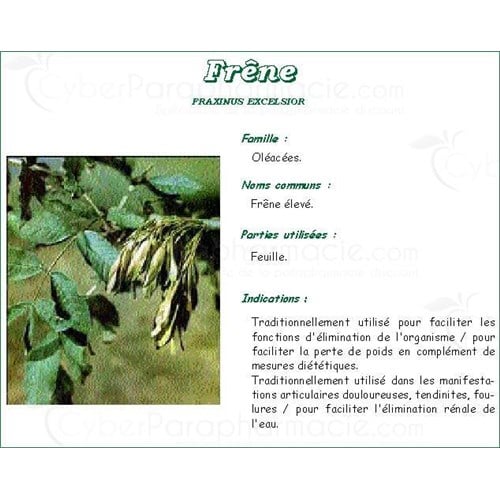 PHARMA PLANT ASH LEAF Leaf high ash bulk. cut - bt 250 g