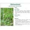 QUACKGRASS VITAFLOR Racine wheatgrass, bulk. - Bt 70 g
