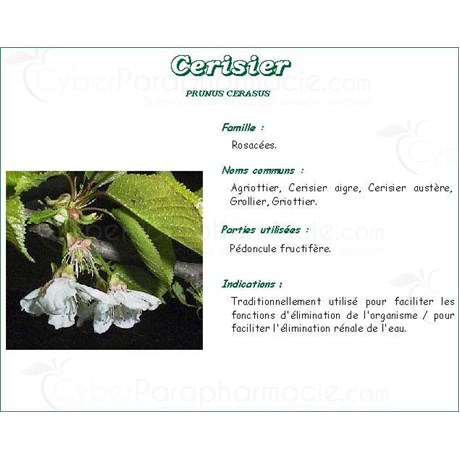 QUEUE CHERRY PHARMA PLANT fruiting cherry stalk, bulk. chopped - 250 g bag