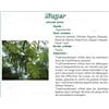 WALNUT VITAFLOR Leaf walnut bulk. - Bt 50 g