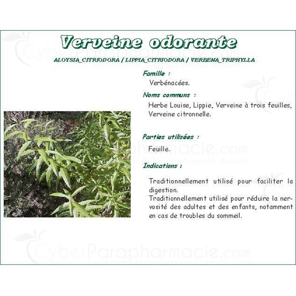 Verveine Odorante Tisane Mediflor Feuille De Verveine Odorante Vrac Bt 25 G N 4