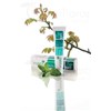 ARGILETZ BIO MINT TOOTHPASTE Toothpaste based white clay. - 75 ml tube