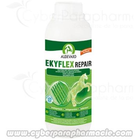 EKYFLEX REPAIR Protection réparation du cartilage 1 L
