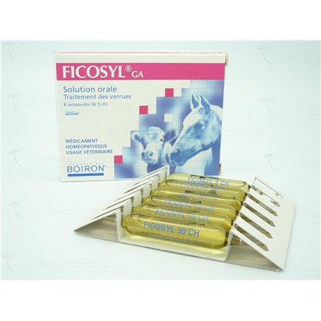 FICOSYL 5MLX6Ampoule GA