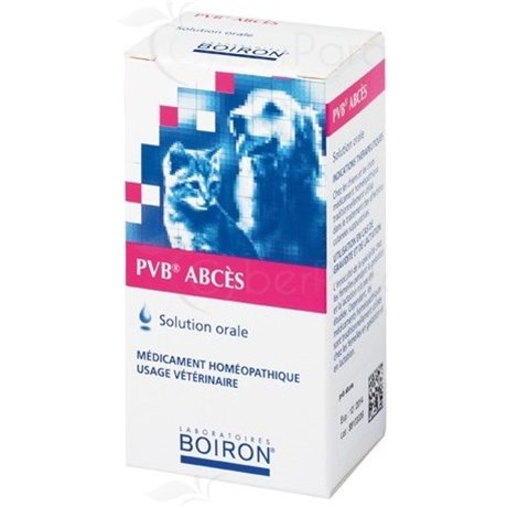 PVB ABCES GA Buvable FL 1L