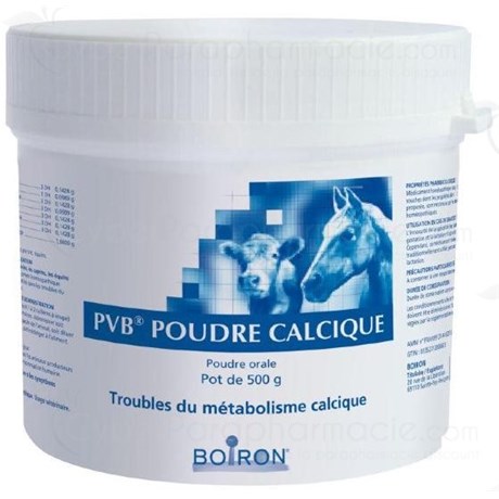 PVB POUDRE CALCIQUE GA pot500G