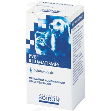 PVB RHUMATISMES GA Buv 125ml