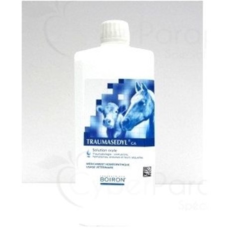 TRAUMASEDYL GA Buv FL 1L