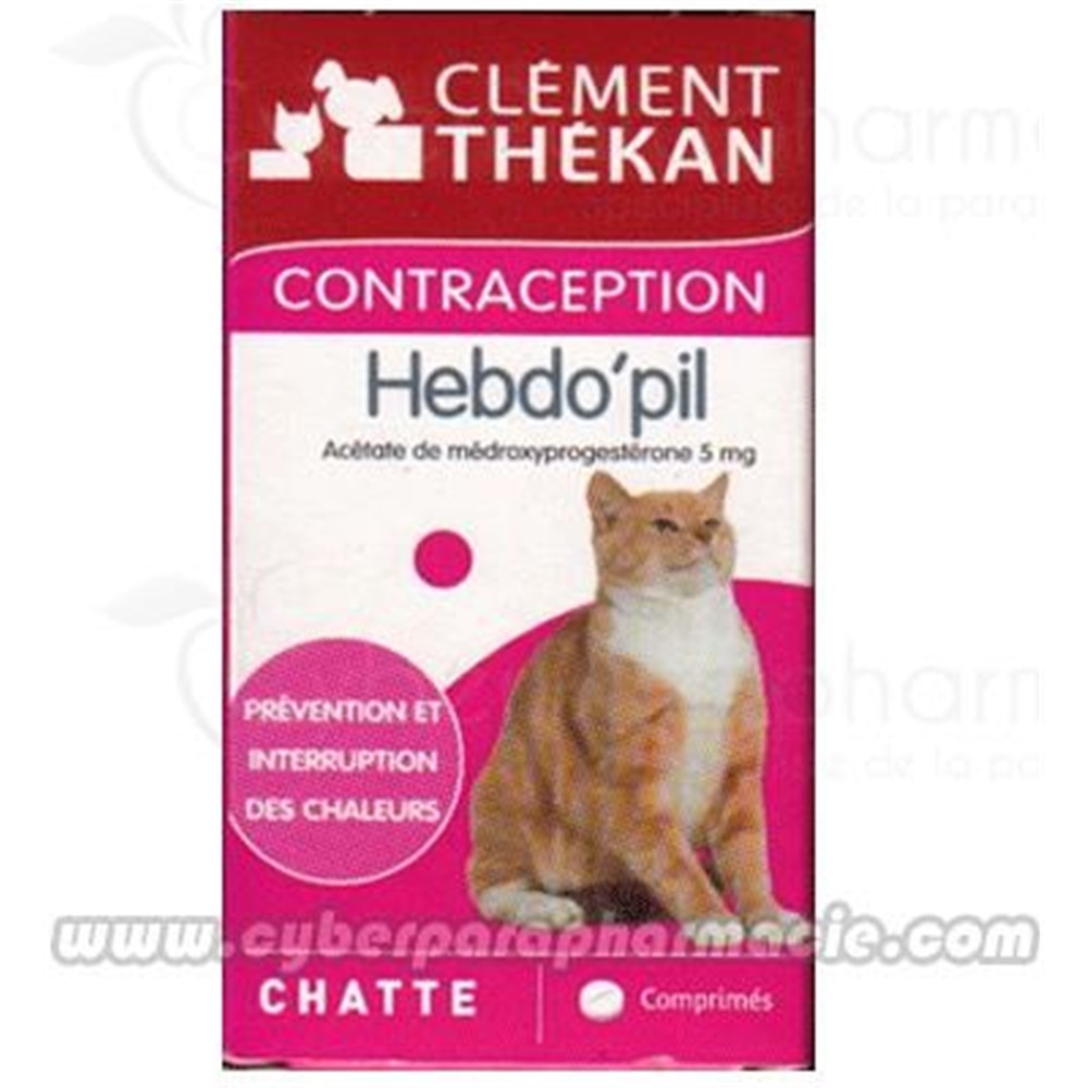 Pilule contraceptive pour chat