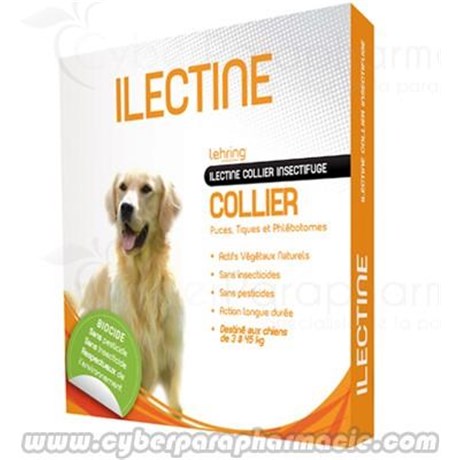 ILECTINE NECKLACE Dog natural insect repellent